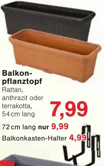 Wiglo Wunderland Balkonpflanztopf Angebot