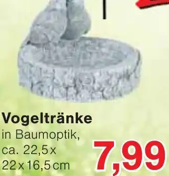 Wiglo Wunderland Vogeltränke Angebot