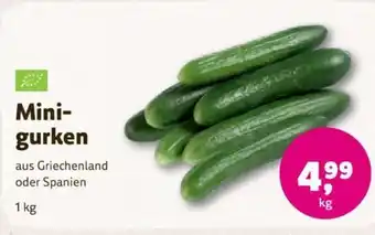 Denns BioMarkt Minigurken kg Angebot