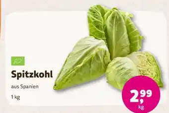 Denns BioMarkt Spitzkohl 1 kg Angebot