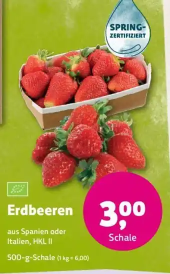 Denns BioMarkt Erdbeeren 500-g-Schale Angebot