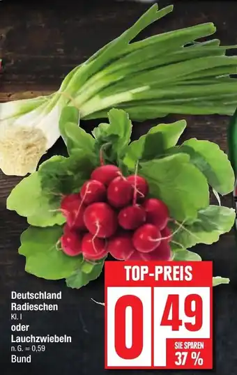 Edeka Deutschland Radieschen KI. I oder Lauchzwiebeln Bund Angebot