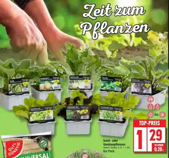 Edeka Salat- oder Gemüsepflanzen versch. Sorten, 6er Pack Angebot