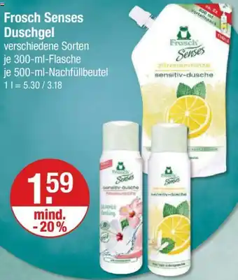 V Markt Frosch Senses Duschgel 300 ml Flasche/ 500 ml Nachfüllbeutel Angebot