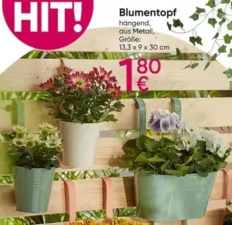 PEPCO Blumentopf Angebot