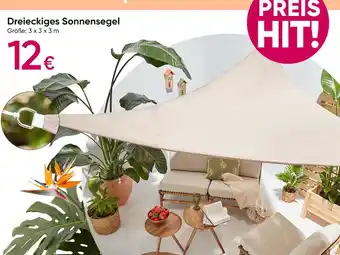 PEPCO Dreieckiges Sonnensegel Angebot