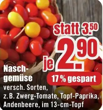 B1 Discount Baumarkt Naschgemüse Angebot