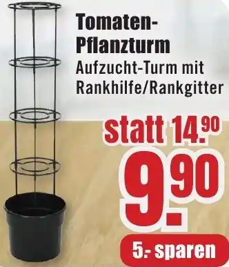 B1 Discount Baumarkt Tomaten Pflanzturm Angebot