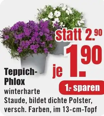 B1 Discount Baumarkt Teppich Phlox Angebot