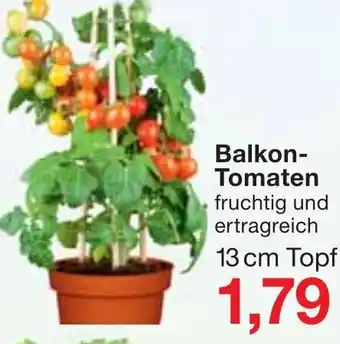 Jawoll Balkon Tomaten Angebot