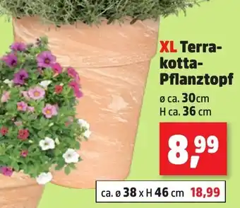 Thomas Philipps XL Terrakotta Pflanztopf Angebot