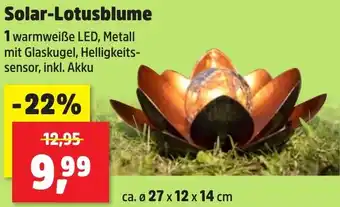 Thomas Philipps Solar-Lotusblume Angebot