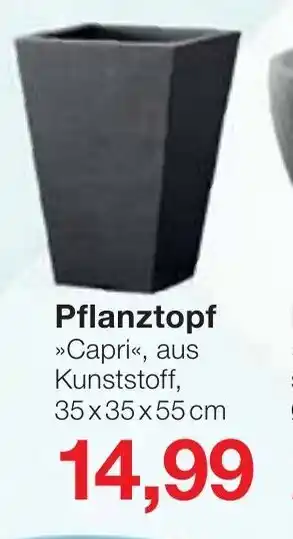 Jawoll Pflanztopf Angebot