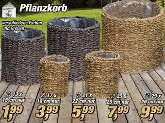 Posten Börse Pflanzkorb Angebot