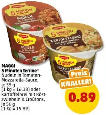 PENNY MAGGI 5 Minuten Terrine 55/56 g Angebot