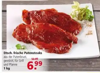 Multi Markt Dtsch. Frische Putensteaks 1kg Angebot