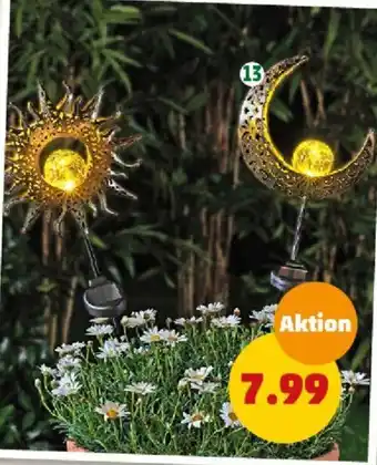 PENNY Solargartenstecker Angebot