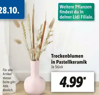 Lidl Trockenblumen in pastellkeramik Angebot