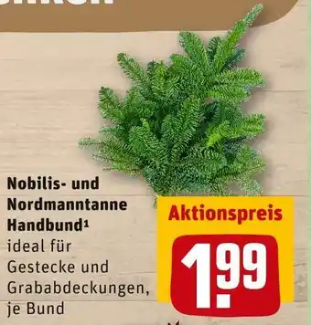 REWE Nobilis- und nordmanntanne handbund Angebot