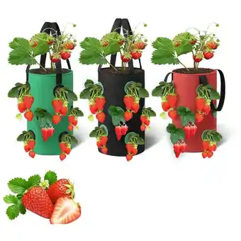 ManoMano Erdbeere Pflanzsack 3 Stück, Garten Gemüse Zuchtbeutel,Grow Tasche, Hängend Erdbeeren Pflanztaschen, (20x35CM) Angebot