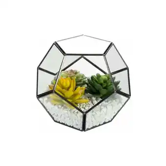 ManoMano Geometrischer Glas-Terrarium-Behälter, 6,7 '' Luftpflanzenhalter Fensterbank-Dekor-Regale, Sukkulenten-Kakteen-Farn-Blumentop Angebot