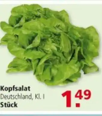 Multi Markt Kopfsalat Angebot