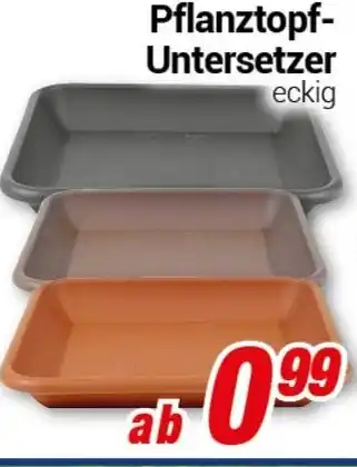 CENTERSHOP Pflanztopf- Untersetzer Angebot