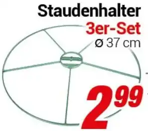 CENTERSHOP Staudenhalter 3er-Set Angebot