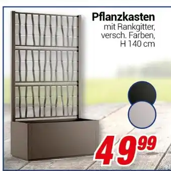 CENTERSHOP Pflanzkasten H 140 cm Angebot