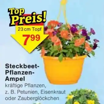 Jawoll Steckbeet- Pflanzen- Ampel Angebot