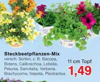 Jawoll Steckbeetpflanzen-Mix Angebot