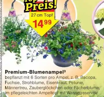 Jawoll Premium-Blumenampel³ 27cm Angebot