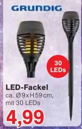 Jawoll LED-Fackel 09xH59 cm, Angebot