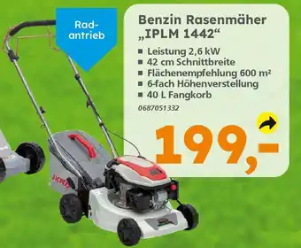 Globus Baumarkt IKRA Benzin Rasenmäher „IPLM 1442" Angebot