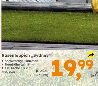 Globus Baumarkt Rasenteppich ,,Sydney" Angebot