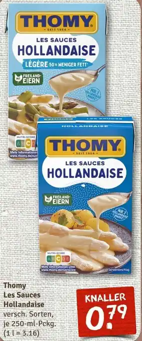 nahkauf Thomy Les Sauces Hollandaise 250 ml Pckg. Angebot