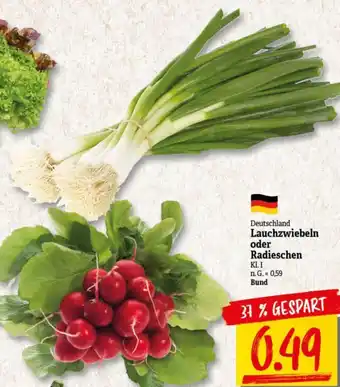 NP Discount Deutschland Lauchzwiebeln oder Radieschen Angebot