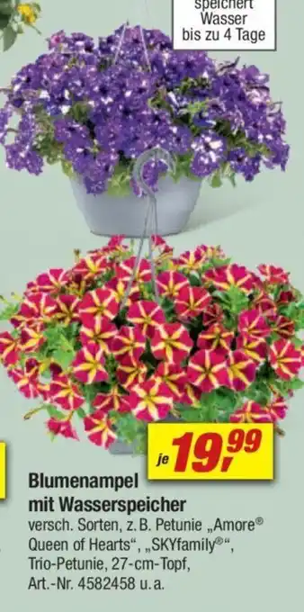 toom Baumarkt Blumenampel mit Wasserspeicher Angebot