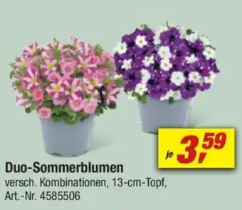 toom Baumarkt Duo-Sommerblumen Angebot