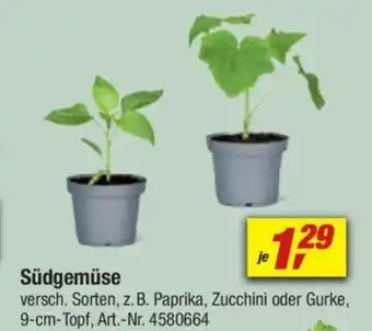 toom Baumarkt Südgemüse Angebot