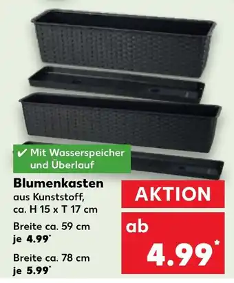 Kaufland Blumenkasten Angebot