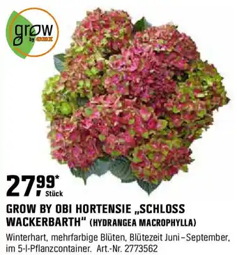 OBI GROW BY OBI HORTENSIE „SCHLOSS WACKERBARTH" (HYDRANGEA MACROPHYLLA) Angebot