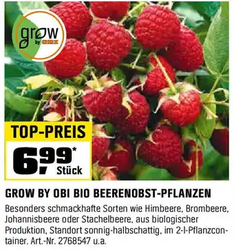 OBI GROW BY OBI BIO BEERENOBST-PFLANZEN Angebot