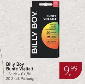 Dornseifer Billy Boy Bunte Vielfalt Angebot