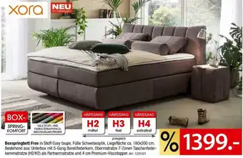 Zurbrüggen Xora boxspringbett free Angebot