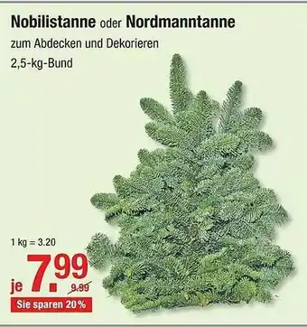 V Baumarkt Nobilistanne Oder Nordmanntanne Angebot