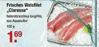 V Markt Frisches Welsfilet „claresse” Angebot