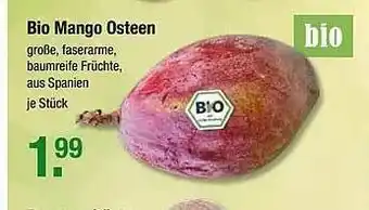 V Markt Bio Mango Osteen Angebot