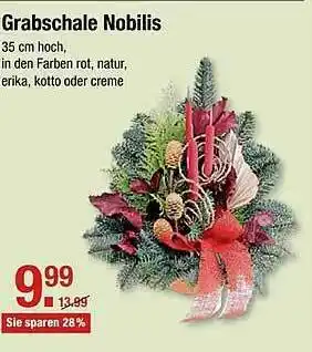 V Markt Grabschale Nobilis Angebot