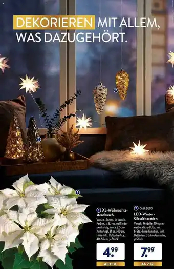 Aldi Süd Xl-weihnachtssternbusch Oder Casa Deco Led-winter-glasdekoration Angebot